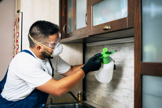 Trusted Iola, KS Pest Control Experts