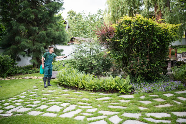 Best Pest Prevention Services  in Iola, KS