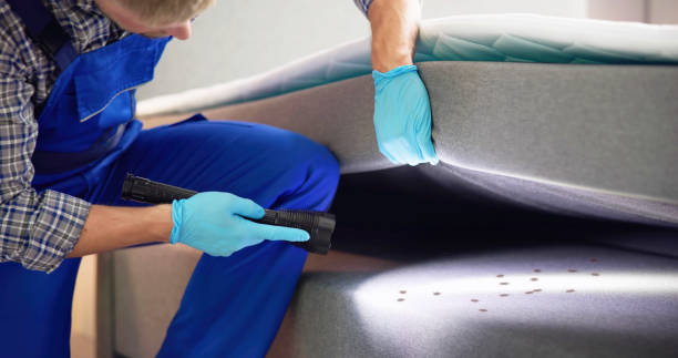 Best Flea Control Services  in Iola, KS