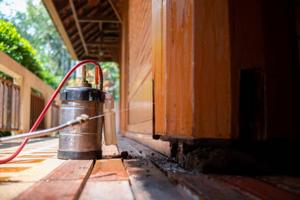 Best Affordable Pest Control Services  in Iola, KS