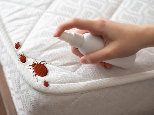 Best Exterminator Services  in Iola, KS